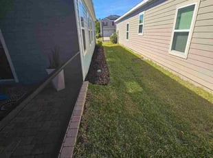 Barbara D.'s turf care service result