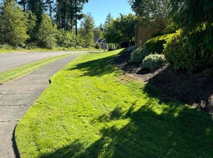 Angela W.'s turf maintenance service result