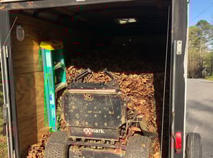 Brooke M.'s Leaf Removal service result