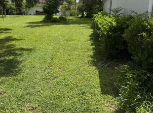 Tamika B.'s grass maintenance service result