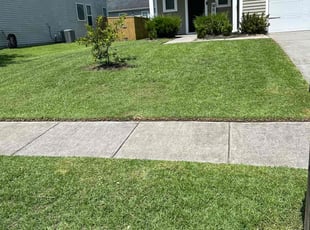Arlene B.'s yard service service result