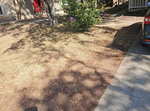 Monica G.'s turf care service result