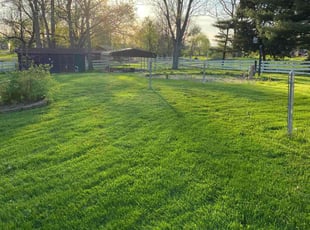 Diane W.'s grass maintenance service result
