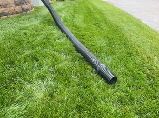 Kayleigh W.'s turf care service result