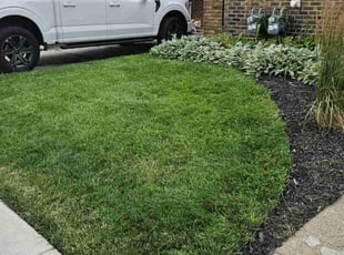 Deb L.'s lawn maintenance service result