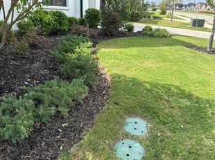 Richard H.'s turf care service result