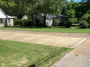 Sarah T.'s lawn care services service result