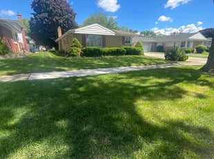 Conn B.'s lawn service service result