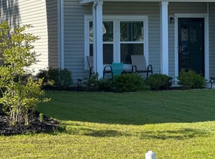 Alisa A.'s lawn service service result