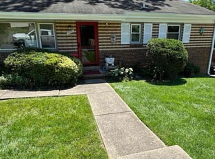 Mike A.'s Bush Trimming service result