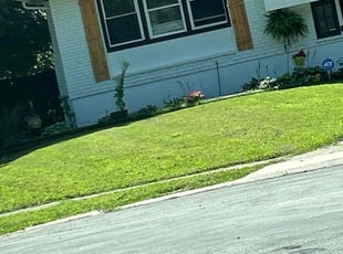 James W.'s turf care service result