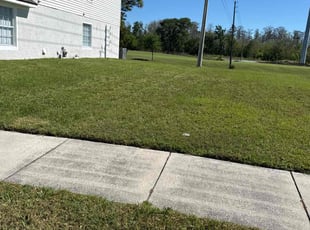 Trey M.'s grass cutting service result
