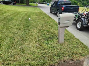 Cindy A.'s grass maintenance service result