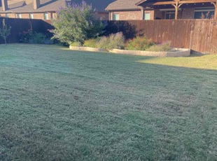 Keith P.'s grass maintenance service result