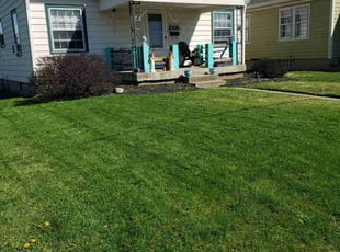 Howard T.'s grass maintenance service result
