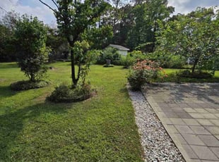 Delal M.'s turf maintenance service result