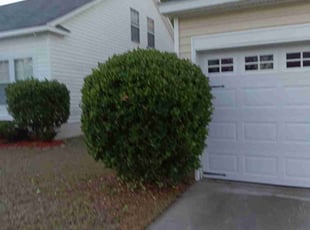 Jacob Y.'s Bush Trimming service result