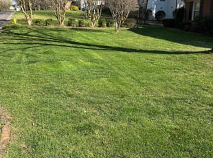Brett L.'s residential landscaping service result