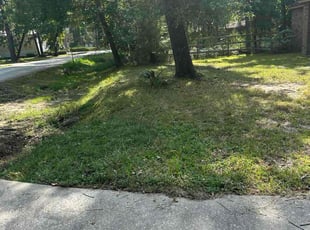 Brittany W.'s Long Grass Cleanup service result