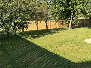 Kyle L.'s lawn care services service result