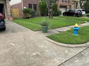 Reagan B.'s turf care service result