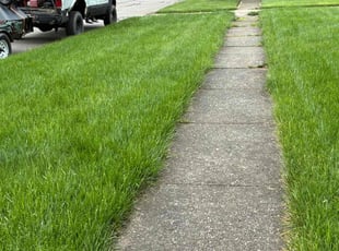 John M.'s grass maintenance service result