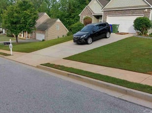 Marybeth P.'s grass maintenance service result