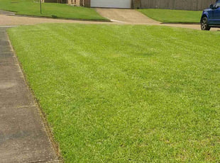 Jazmine S.'s turf care service result