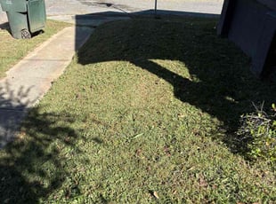 Brian O.'s turf maintenance service result