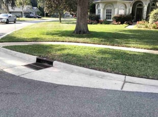 Ebony B.'s turf care service result