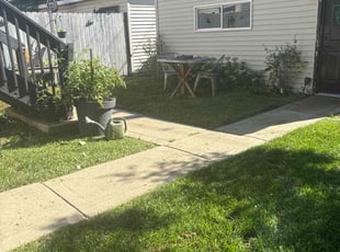 Venkata N.'s lawn maintenance service result