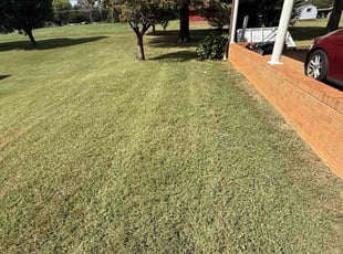 Lynn S.'s turf maintenance service result