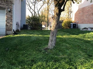 Keith B.'s turf maintenance service result