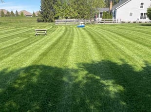 Farheen R.'s lawn care service result