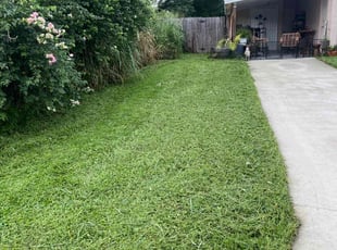 Kimberly C.'s turf care service result