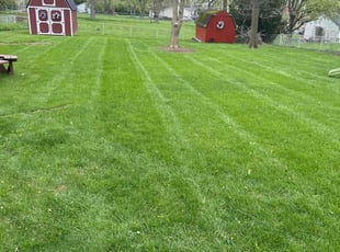 Michael D.'s lawn service service result