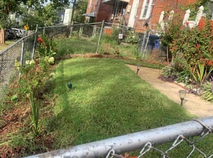 Stacey G.'s turf maintenance service result