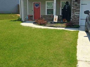 Ebiswa W.'s lawn care service result
