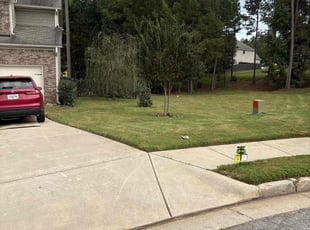 Fred M.'s turf care service result