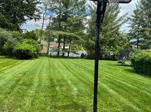 Shubham A.'s lawn care service result