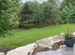 Alison P.'s lawn service service result
