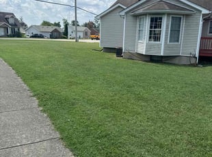 Tania H.'s lawn maintenance service result