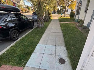 Randy D.'s grass maintenance service result
