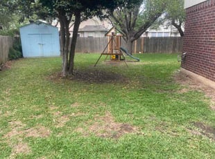 Rae A.'s lawn maintenance service result