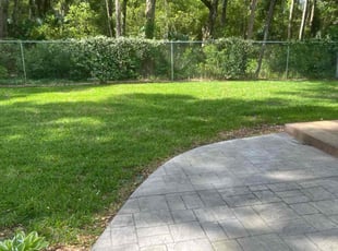 Jeannine M.'s lawn care service result