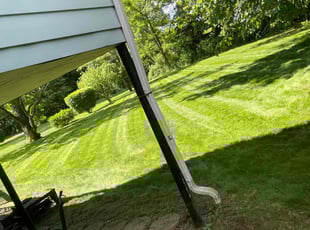 David T.'s turf care service result