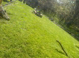 Jessica S.'s lawn care services service result