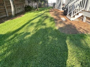 Michael W.'s lawn care service result