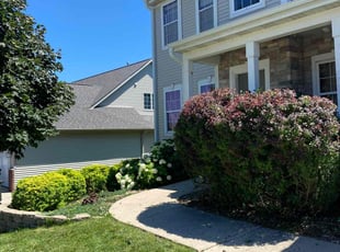 Dennis W.'s Bush Trimming service result