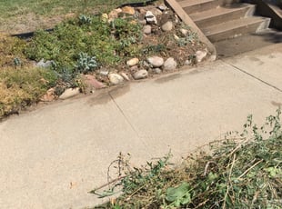 Jana M.'s Flower Bed Weeding service result